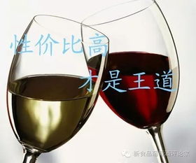 國產葡萄酒破局蓉城 品質、故事與本土化的三重奏